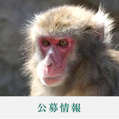 支援職員の公募
