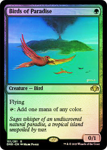 Birds of Paradise (DMR) / Foil