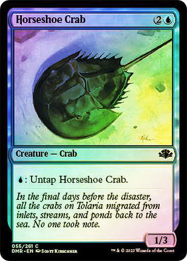 Horseshoe Crab (DMR) / Foil