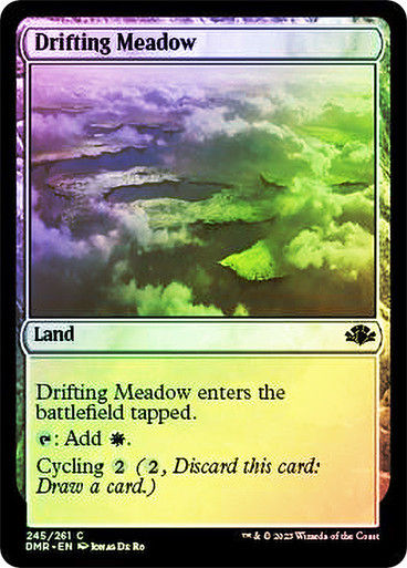 Drifting Meadow (DMR) / Foil