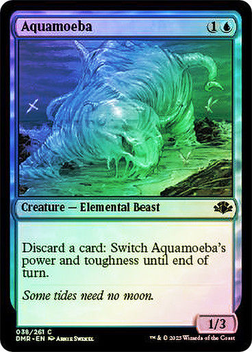 Aquamoeba (DMR) / Foil