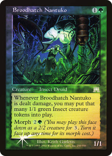 Broodhatch Nantuko (ONS) / Foil