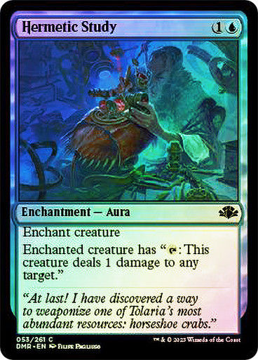Hermetic Study (DMR) / Foil