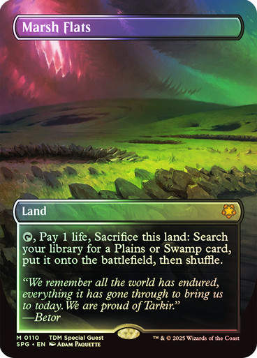 Marsh Flats (SPG) (110) / Borderless / Foil