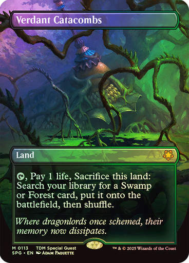 Verdant Catacombs (SPG) (113) / Borderless / Foil