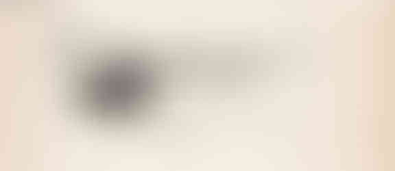 Illustration d'un article évoquant le séjour de Sarah Bernhardt