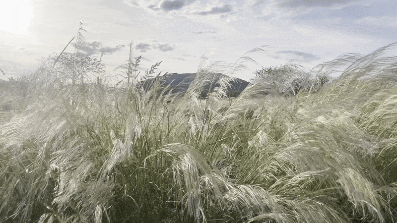 IMG_3747-ezgif.com-optimize.gif