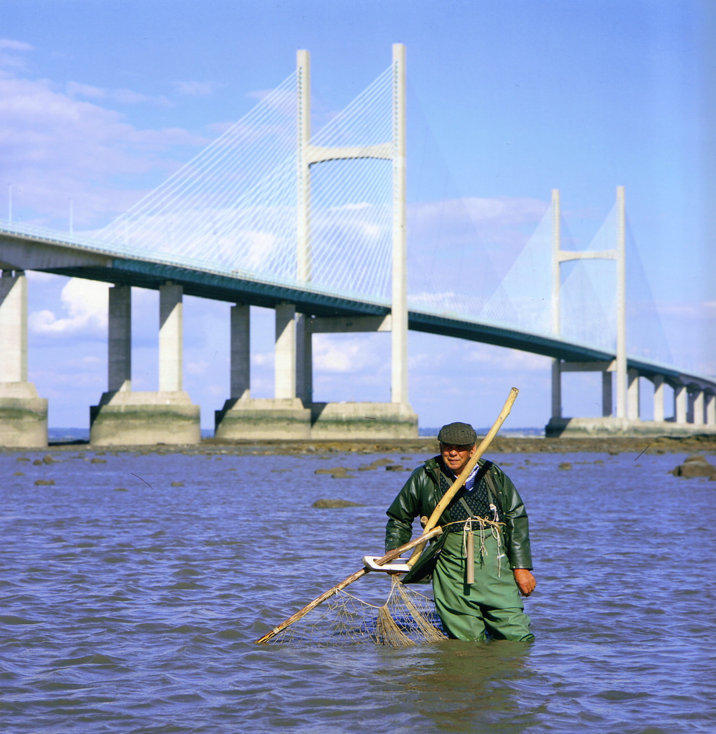 Bob in the Severn Estuary