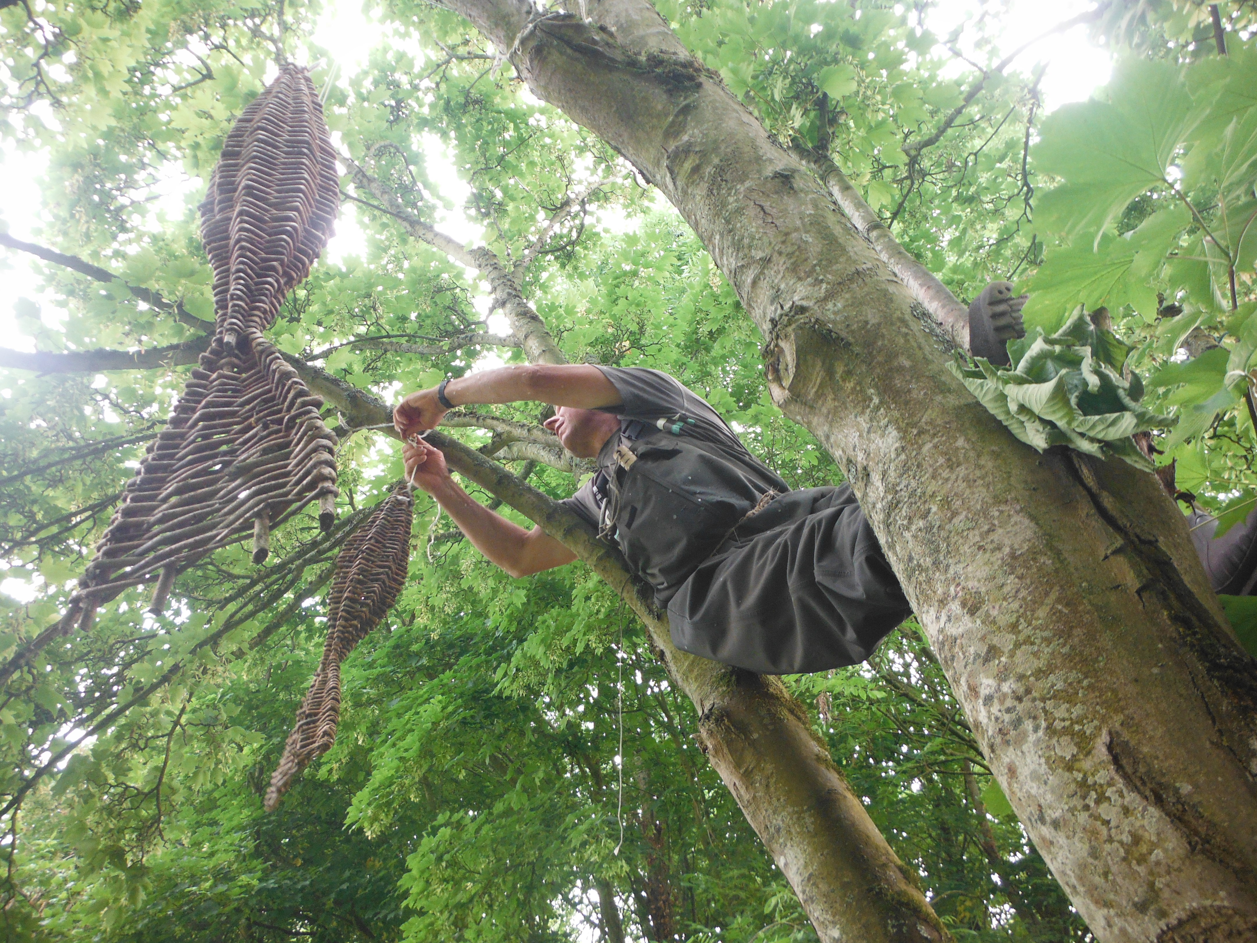 Black Rock Lave Net Fishery