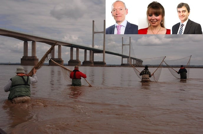 Cross party support
