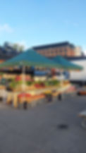 20240907_072808.jpg