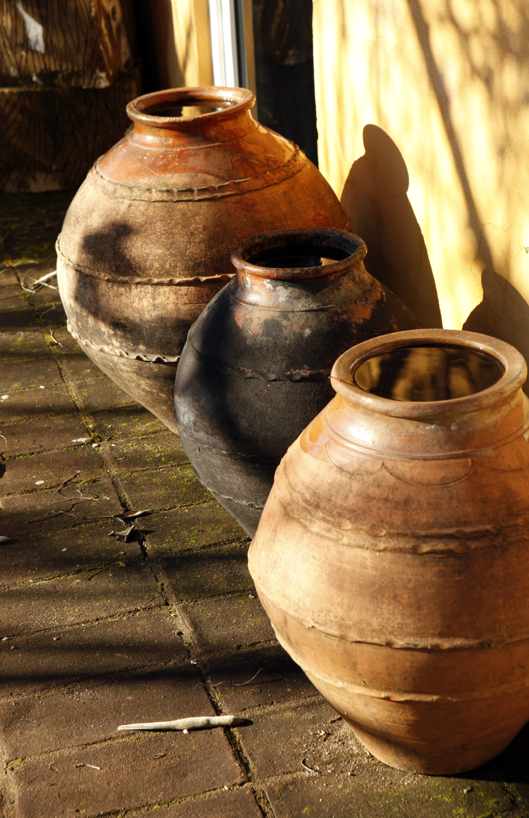 _MG_2332 Foto João Frazão