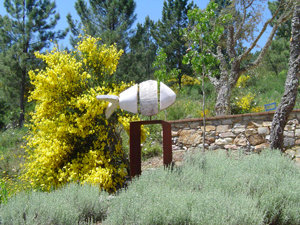 001 6 Parque de esculturas MLC