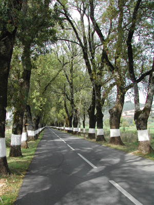 12Lugares_Estrada_de_Marvão_2