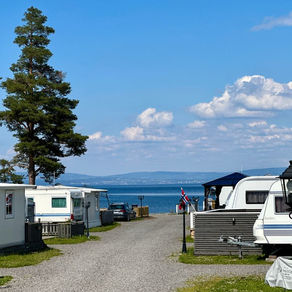 Ledige helårsplasser 2026