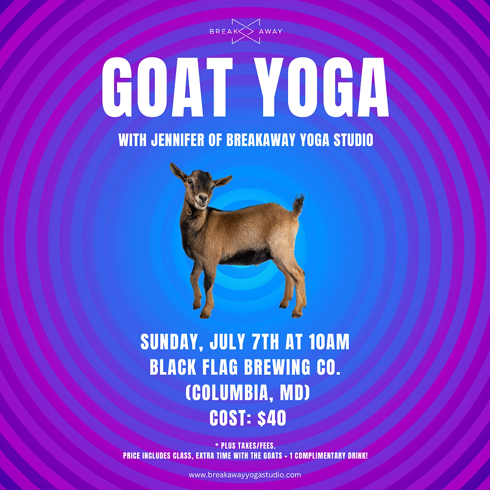Goat Yoga at Black Flag Brewing Co.