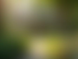 Buy, Sell, Thrive: Harrison Home Team Real Estate Decatur