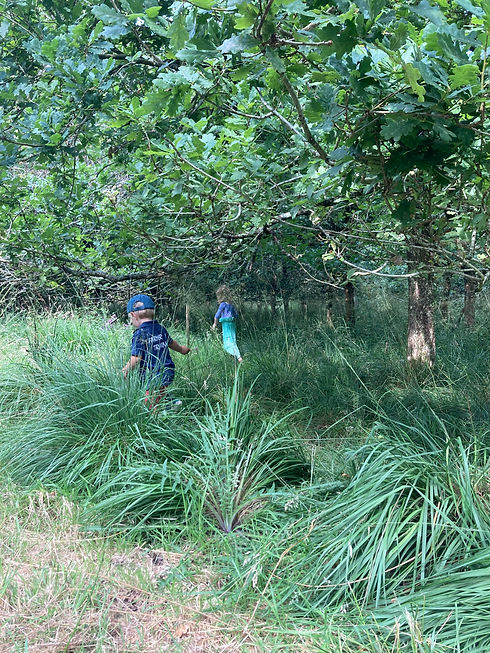 under the trees.jpg