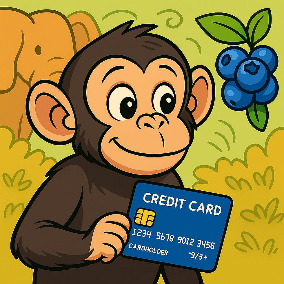 신용카드 현금화