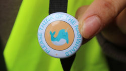 (Key prop - badge) IMG_3768