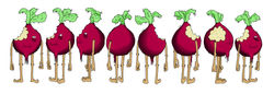 Rodney the Radish - shading
