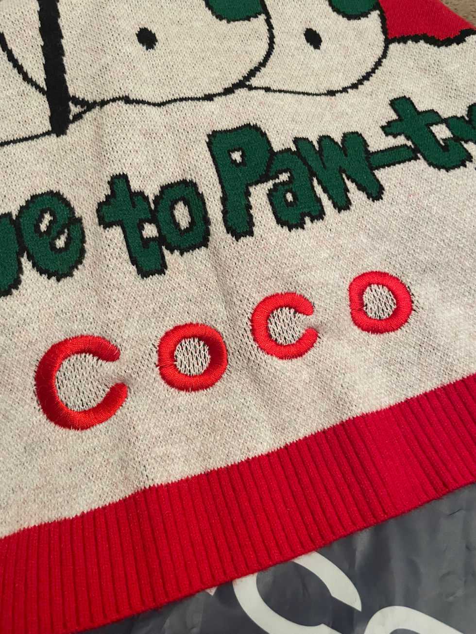 A dog jumper with the dogs name "Coco" embroidered onto it 