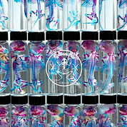 Nicholas-Website-backdrop-9White).jpg