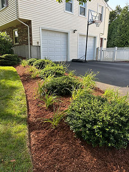 Mulching website photo (2).jpg