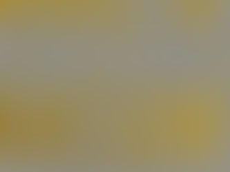 DAY 1 of 12 Days of Christmas