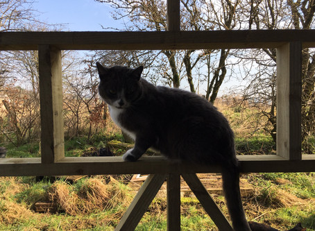 I've been Framed !