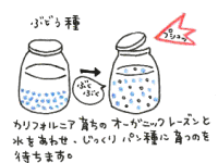 raisin-image.gif