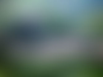 Etiennette de Castelnou !