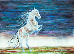 Storm Horsewsig.jpg