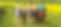horse-riding-header-6.jpg