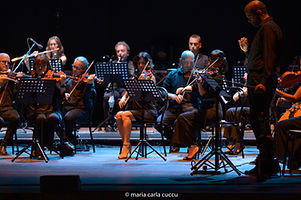orchestra 1.jpg