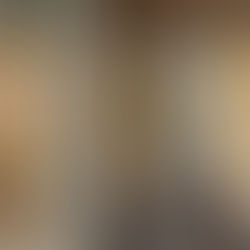 Bloques de vidrio cocina B32 Studio Karhard 2024 Moderno Contemporáneo Alemania Berlin vivienda