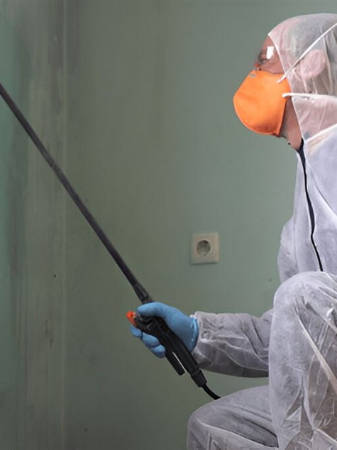 Why Professional Mold Removal Is Safer Than DIY Methods