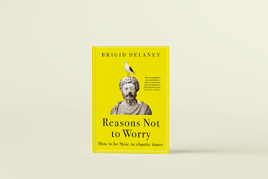 Reasons Not to Worry by Brigid Delaney