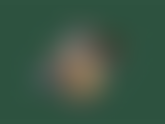 Book titled "Luna Park." Cover shows a colorful amusement park scene at night. Author: Helen Pitt. Set against a dark green background.