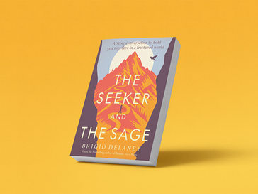 The Seeker and the Sage by Brigid Delaney.