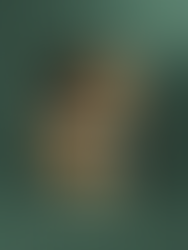 Book cover of "Murder in Paris" by Kirsty Manning. Features a woman in a teal dress against an elegant Parisian backdrop, set in a green room.