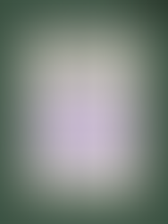 Poster for "What Are You Reading?" app by Better Reading. Images of phone screens with text: Social, Not Surveillance, Australian by Default, against a green background.
