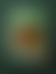 Solace House by Will Maclean Extract