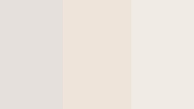 fondo web.jpg