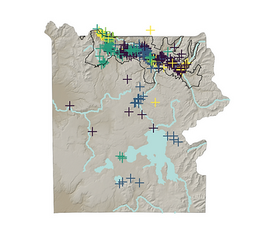 Screenshot 2025-08-07 at 11.34_edited.pn
