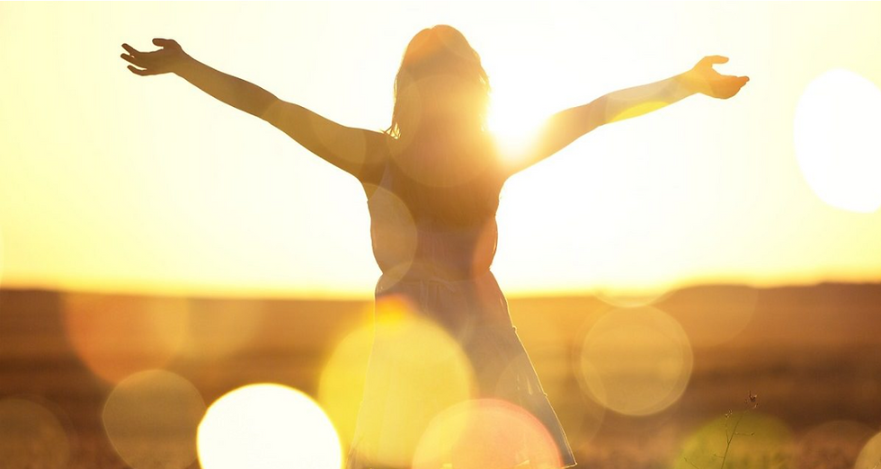 Close-up view of a serene meditation space with cushions and soft lighting