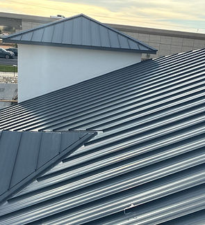 MetalRoof.JPG