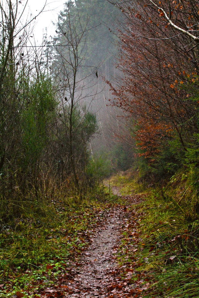 wandelroete.gif