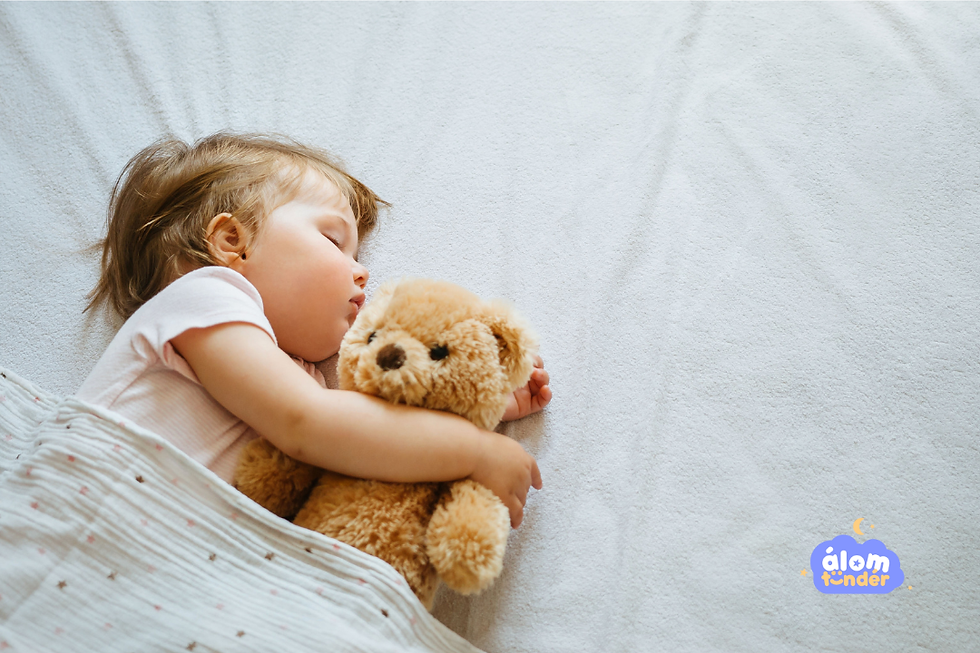 Átállás 2 alvásról 1 alvásra - Álomtündér