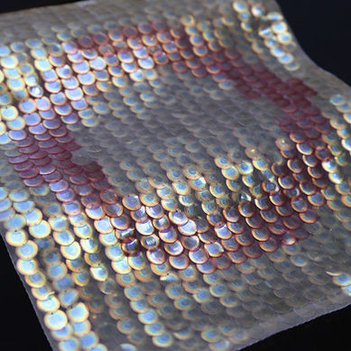 bio-iridescent-sequin-elissa-brunato-sustainable-design_dezeen_2364_col_6-852x852.jpg